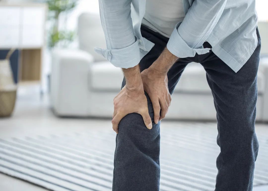 1672364852566132.jpg 1672364852566132.jpg