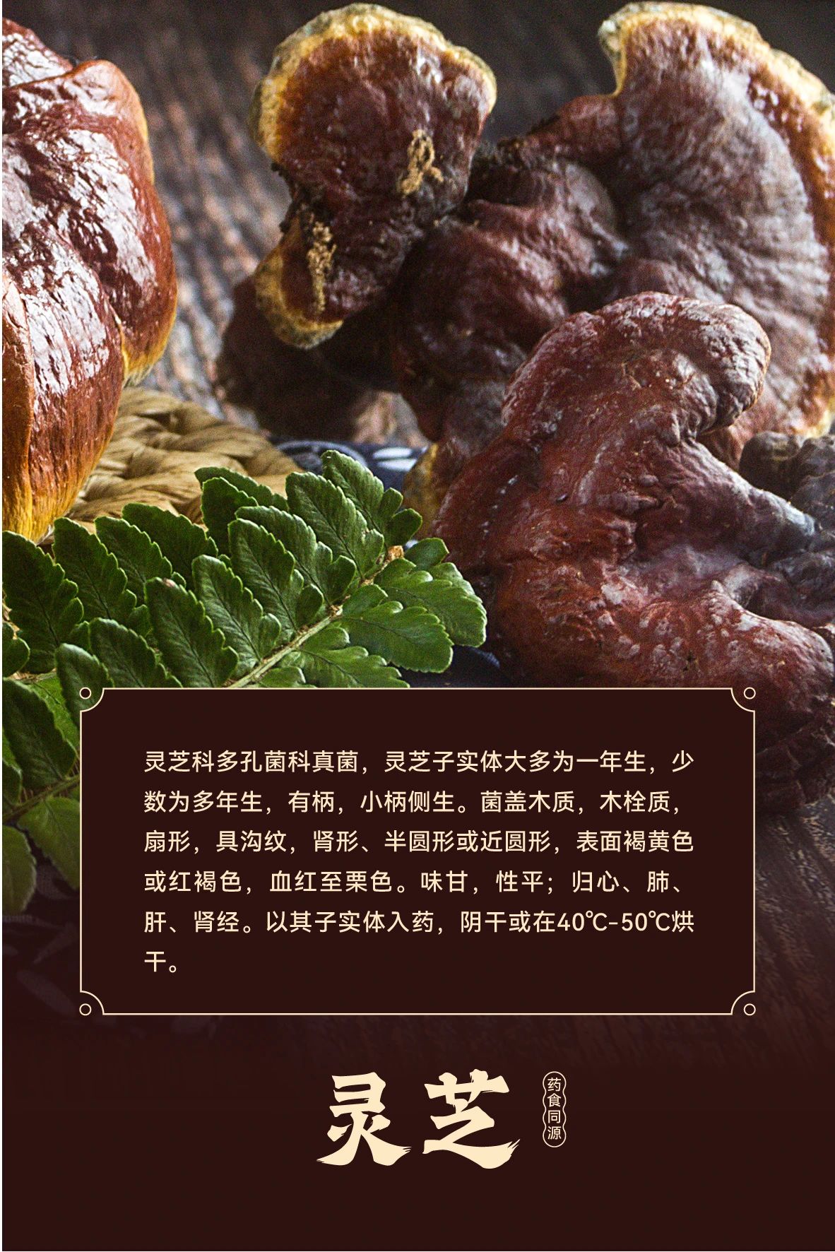 1732593726926251.jpg 微信图片_20241126115939.jpg